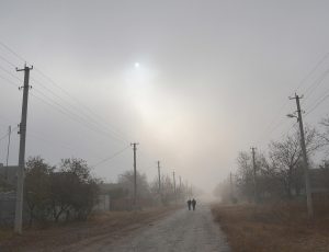 Сельский альбом 17 14