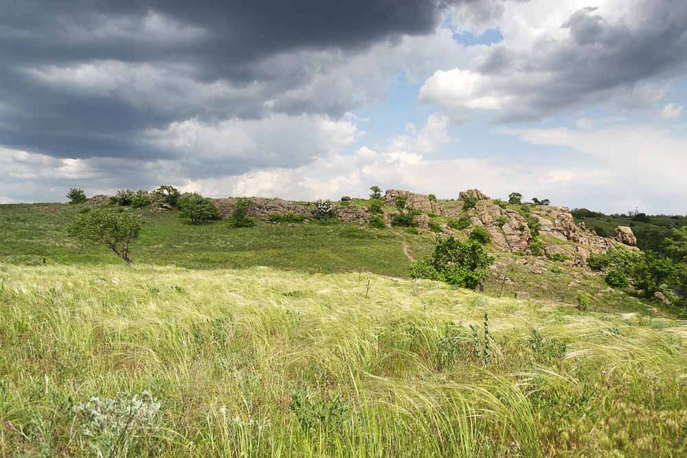 Cолнце в зените 7 dsc 4972