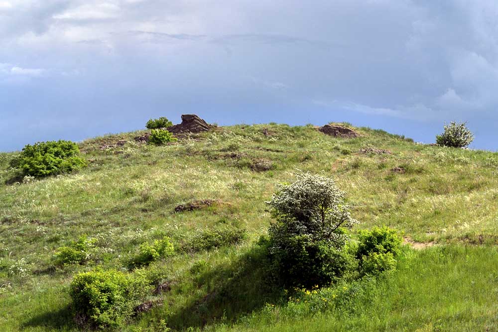 Cолнце в зените 10 dsc 5294 1