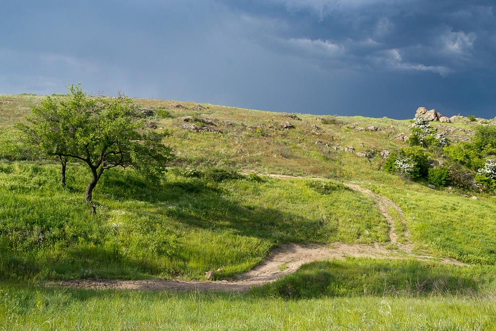 Cолнце в зените 26 dsc 5767