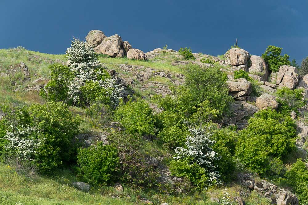 Cолнце в зените 27 dsc 5774