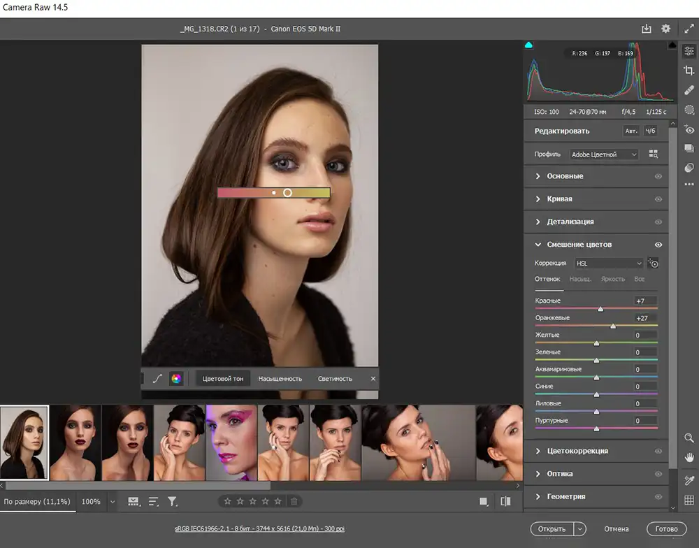 Руководство по обработке фотографий в Adobe Camera Raw в 2025 году 13 Инструмент целевой коррекции на панели смешение цветов
