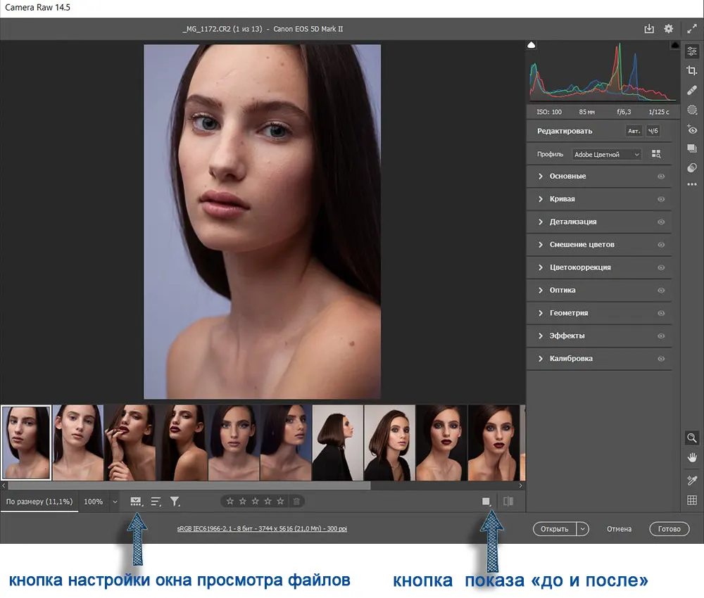 Руководство по обработке фотографий в Adobe Camera Raw в 2025 году 1 Интерфейс Adobe Camera Raw
