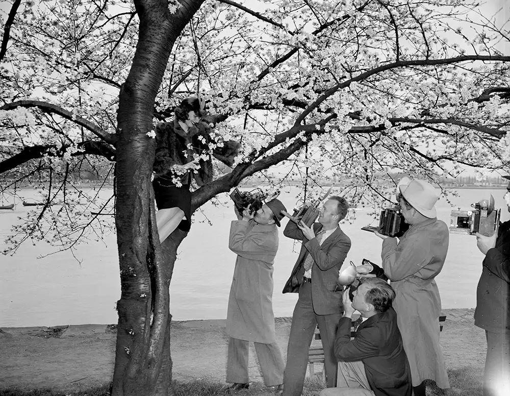 Блестящая история магниевой флэш-фотографии 7 Коллективная фотосессия с магниевой лампой вспышкой