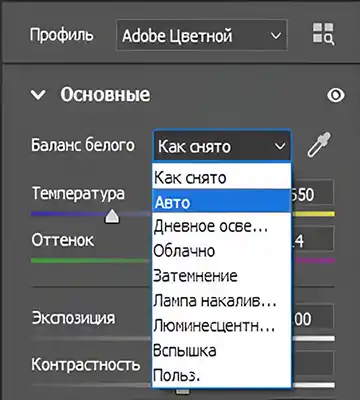 Руководство по обработке фотографий в Adobe Camera Raw в 2025 году 6 Использование предустановленных инструментов баланса белого