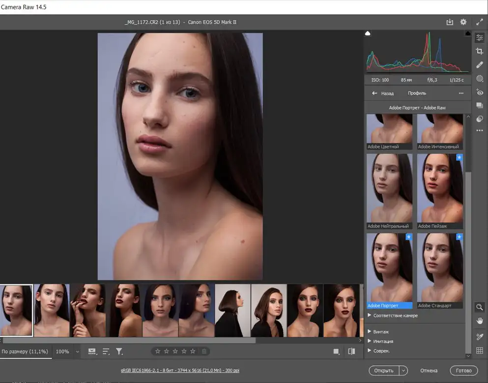 Руководство по обработке фотографий в Adobe Camera Raw в 2025 году 5 Расширенный набор профилей