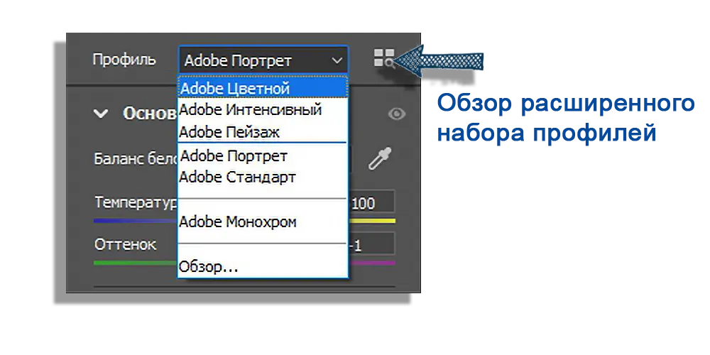 Руководство по обработке фотографий в Adobe Camera Raw в 2025 году 4 Профили Adobe Camera Raw