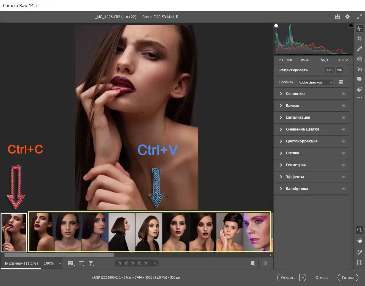 Руководство по обработке фотографий в Adobe Camera Raw в 2025 году 18 Синхронизация настроек