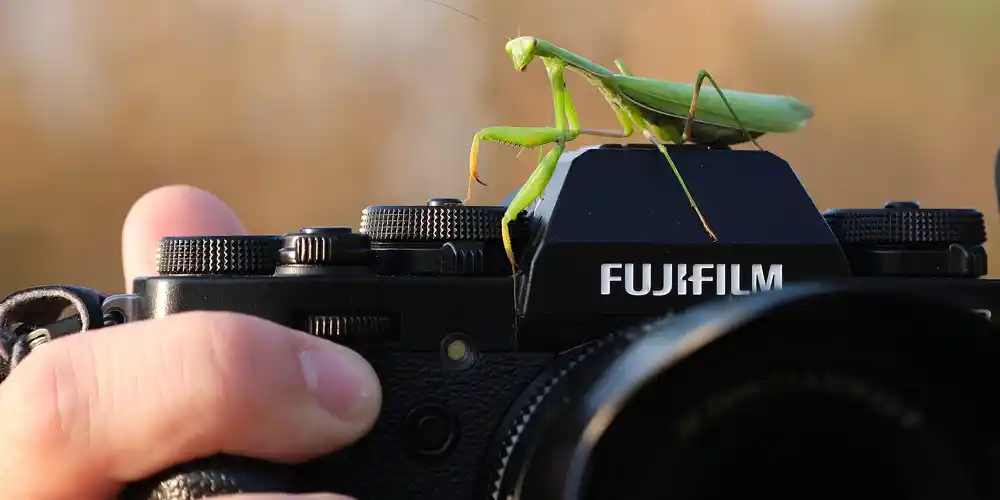 Фотоапарати Fujifilm. Магія плівкової імітації